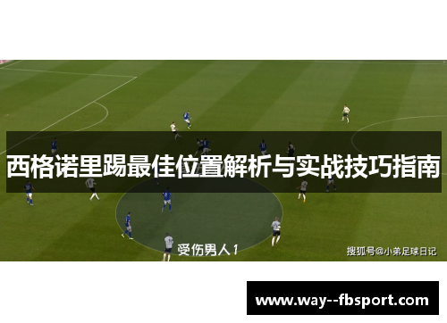 西格诺里踢最佳位置解析与实战技巧指南