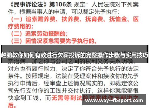 赵鹏教你如何有效进行欠薪投诉的完整操作步骤与实用技巧