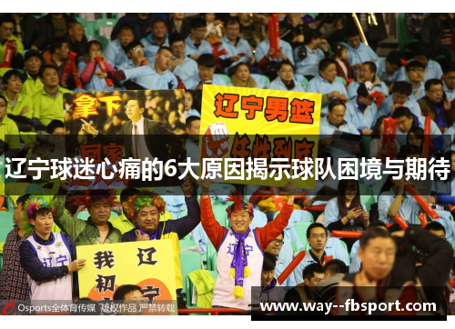 辽宁球迷心痛的6大原因揭示球队困境与期待