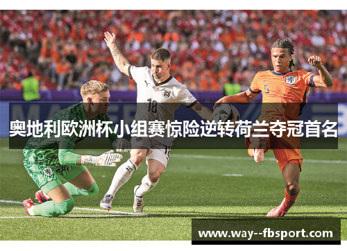 奥地利欧洲杯小组赛惊险逆转荷兰夺冠首名 奥地利欧洲杯小组赛惊险逆转荷兰夺冠首名
