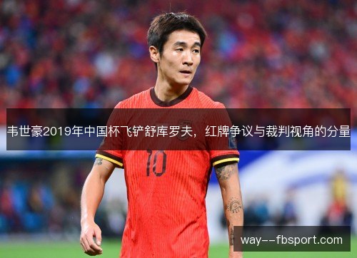 韦世豪2019年中国杯飞铲舒库罗夫,红牌争议与裁判视角的分量 韦世豪2019年中国杯飞铲舒库罗夫,红牌争议与裁判视角的分量